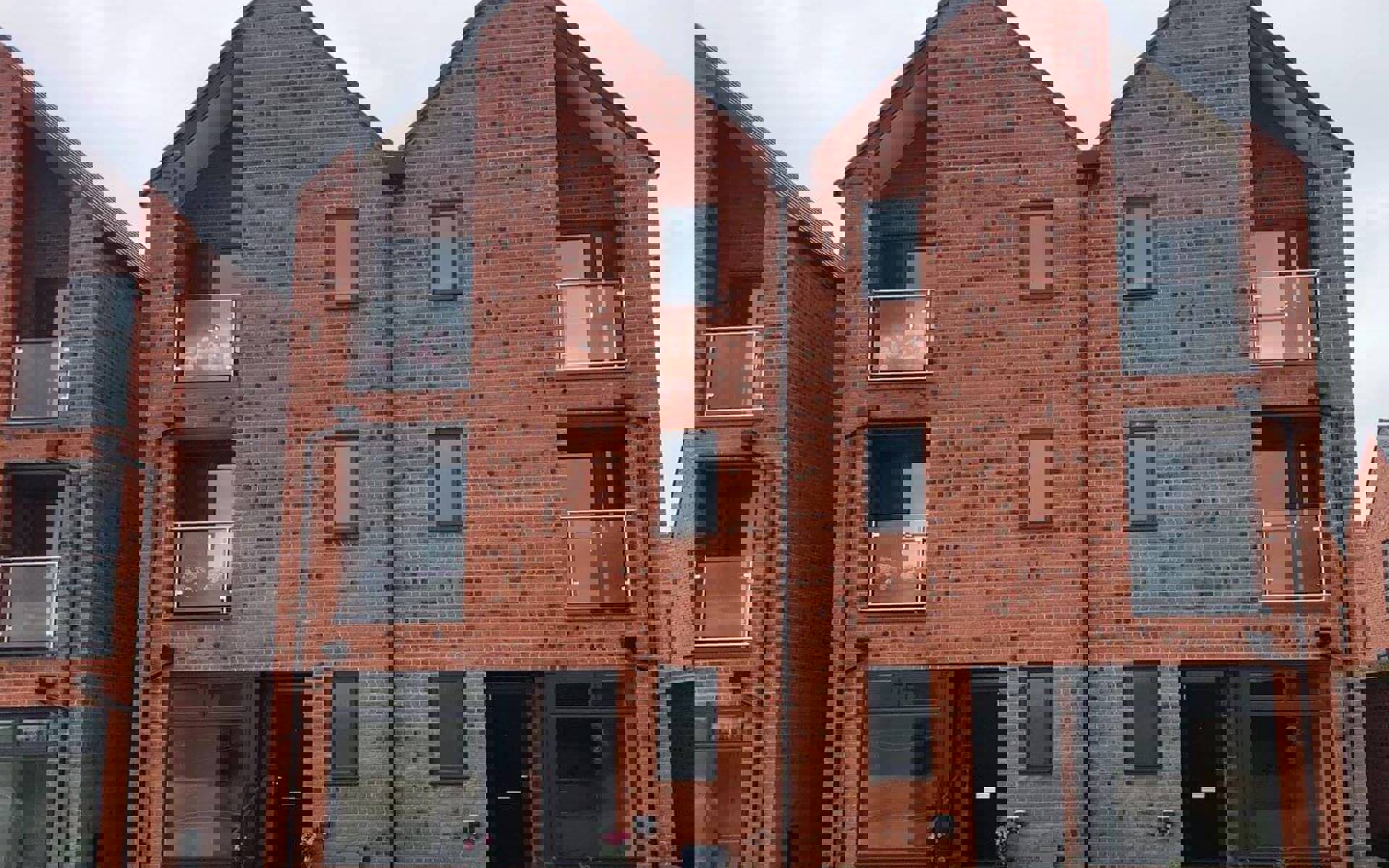 60 Camellia Cropped & Resized