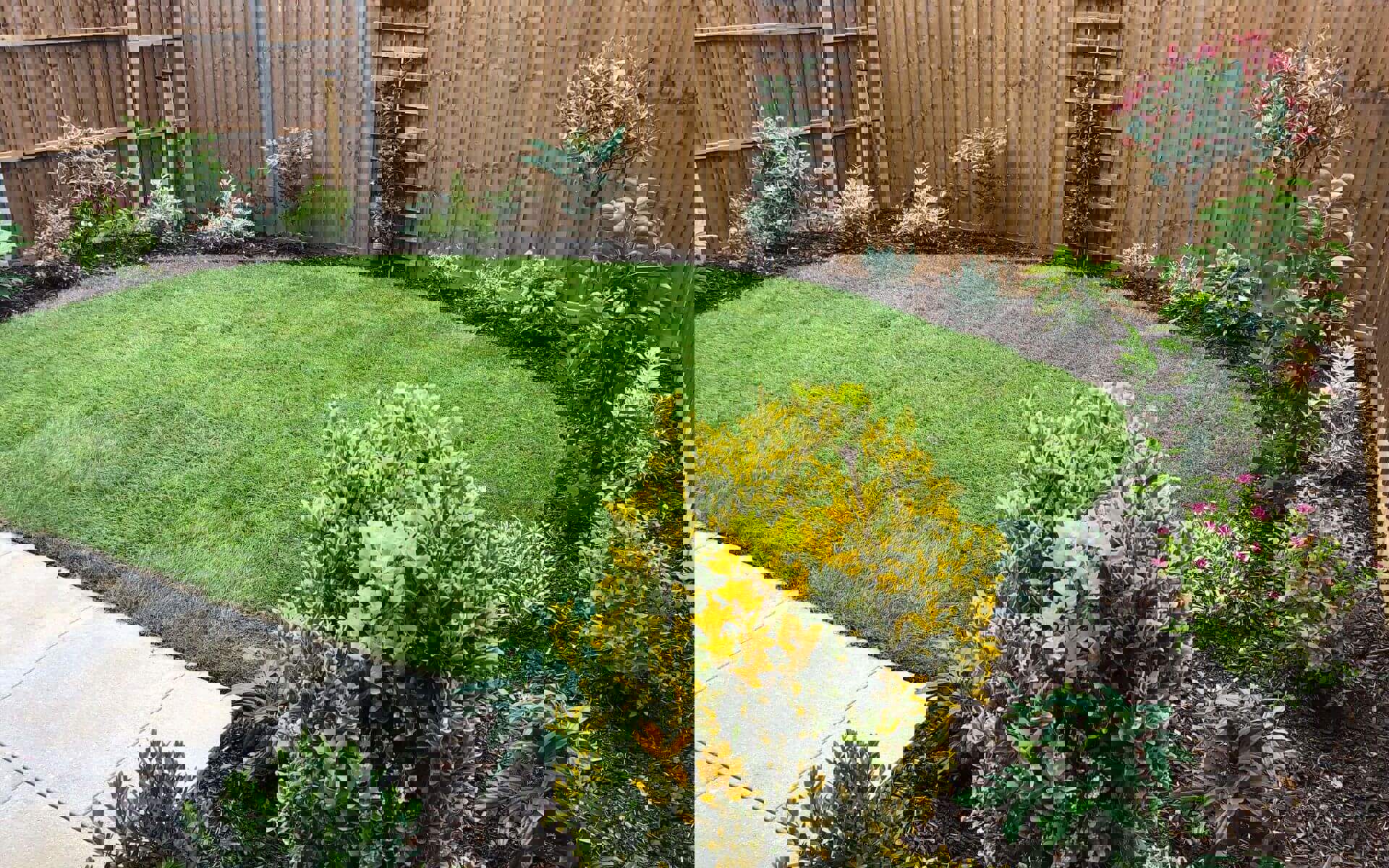 60 Camellia Garden Resized