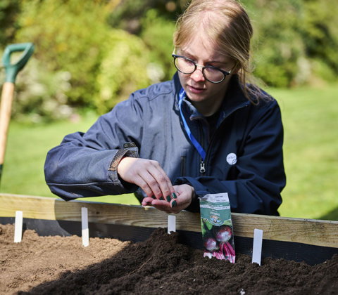 Learn more about Orbit