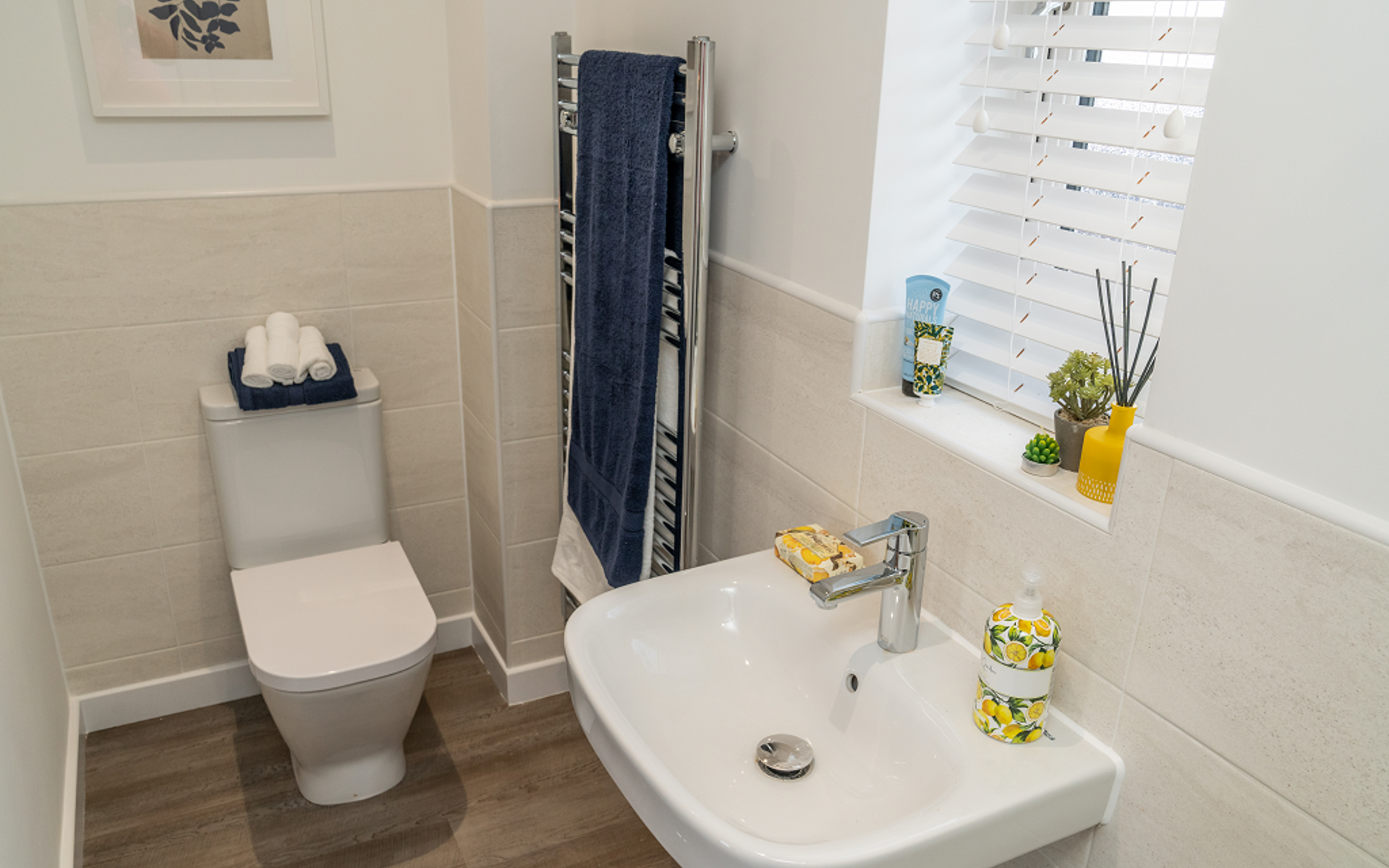 OH Mill View Ashley (61)