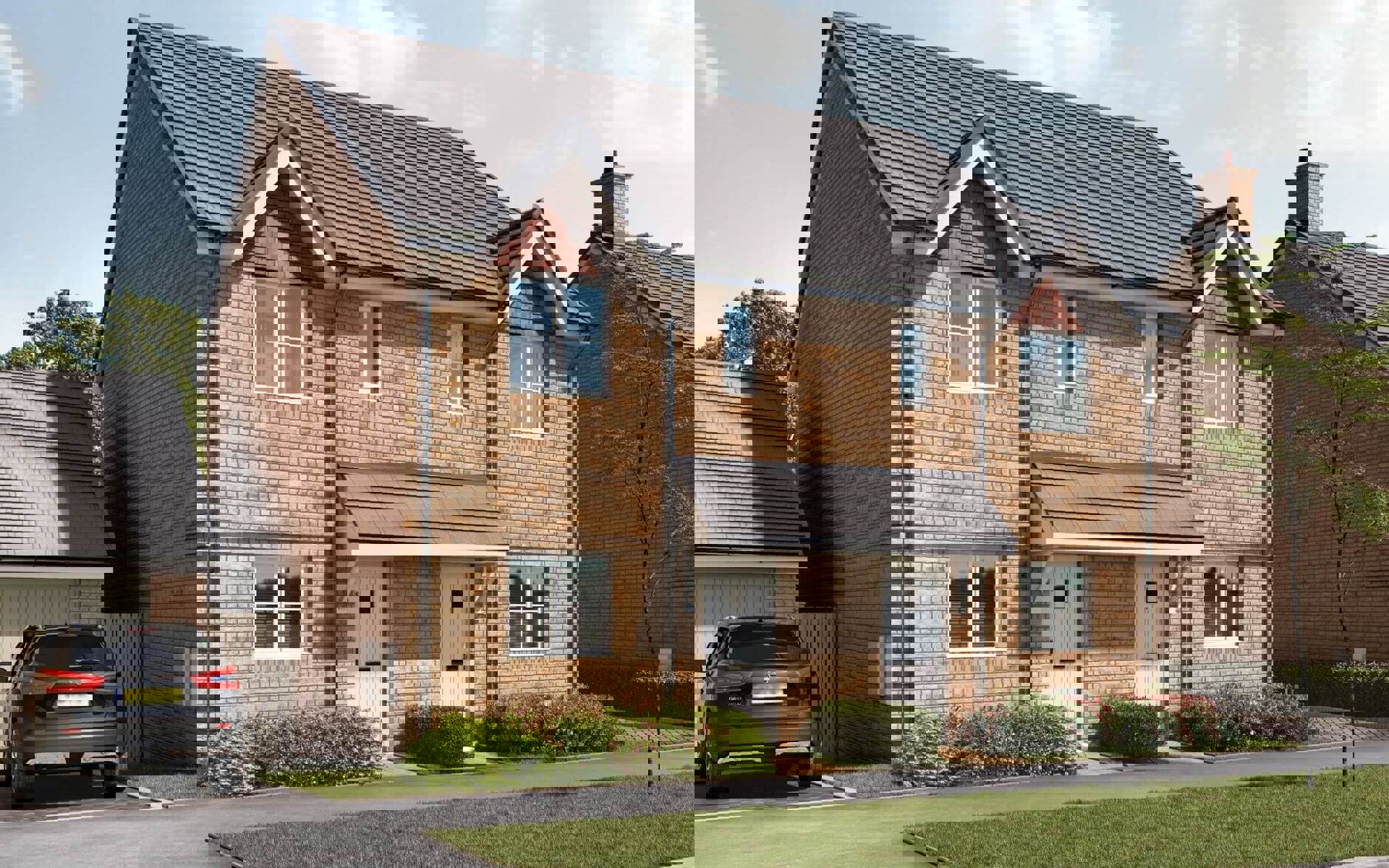 The Hedgerows Ash P84 85 (1)