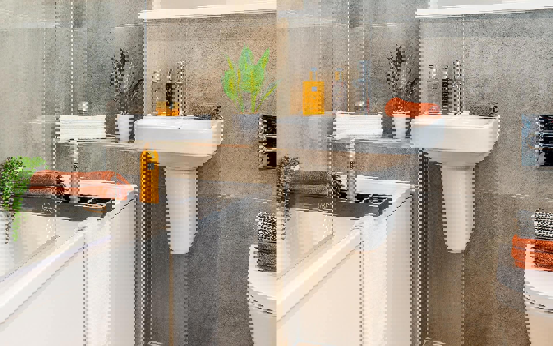 Wellingtonpl Dove LR (1)